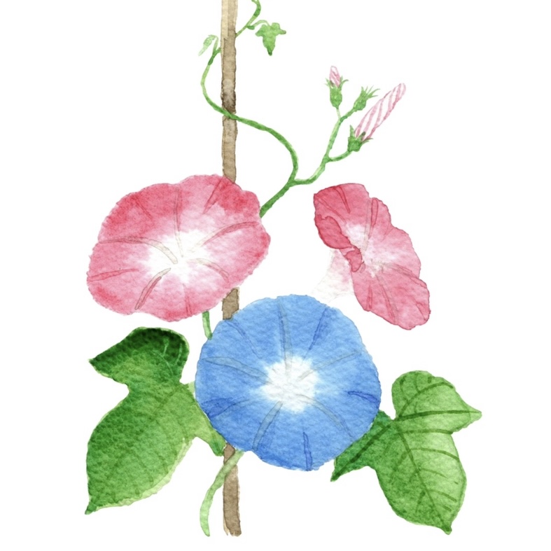 合同会社直人 ロゴ